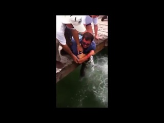 live bait fishing fucking is possible how to watch everyone to the end beautiful not real just incredible experience this